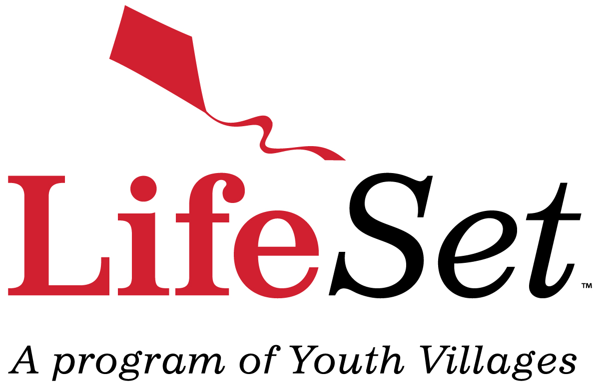 LifeSet Logo