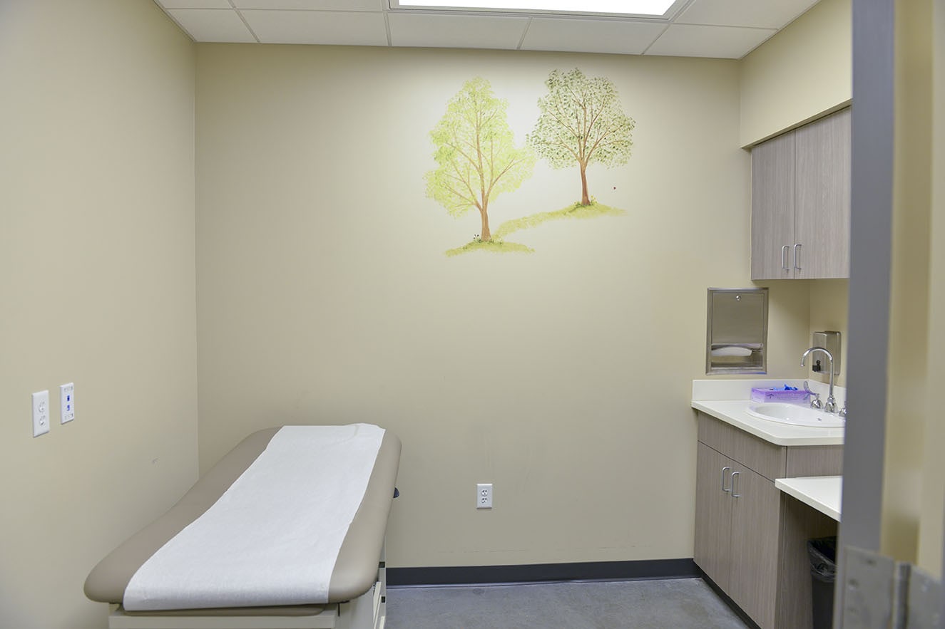 Dogwood-Clinic-Room