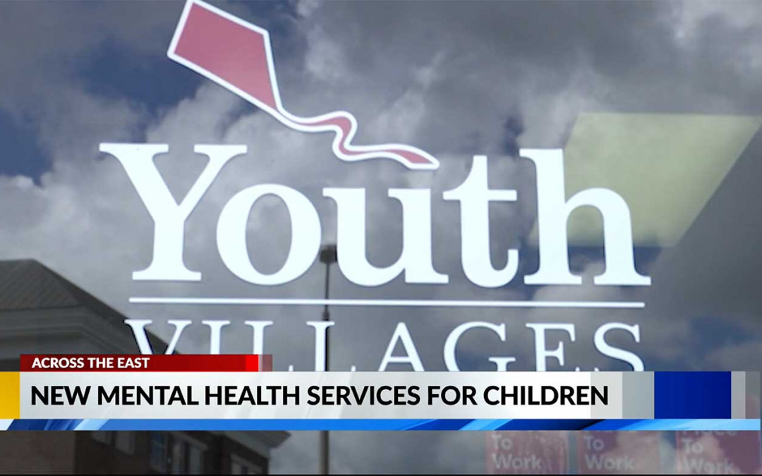 Private, non-profit organization expands mental health services to ENC