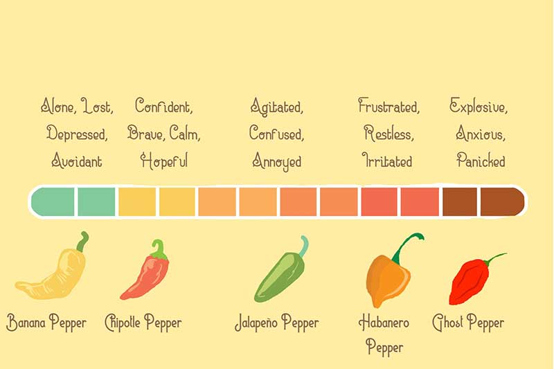 emotional spicy pepper graphic