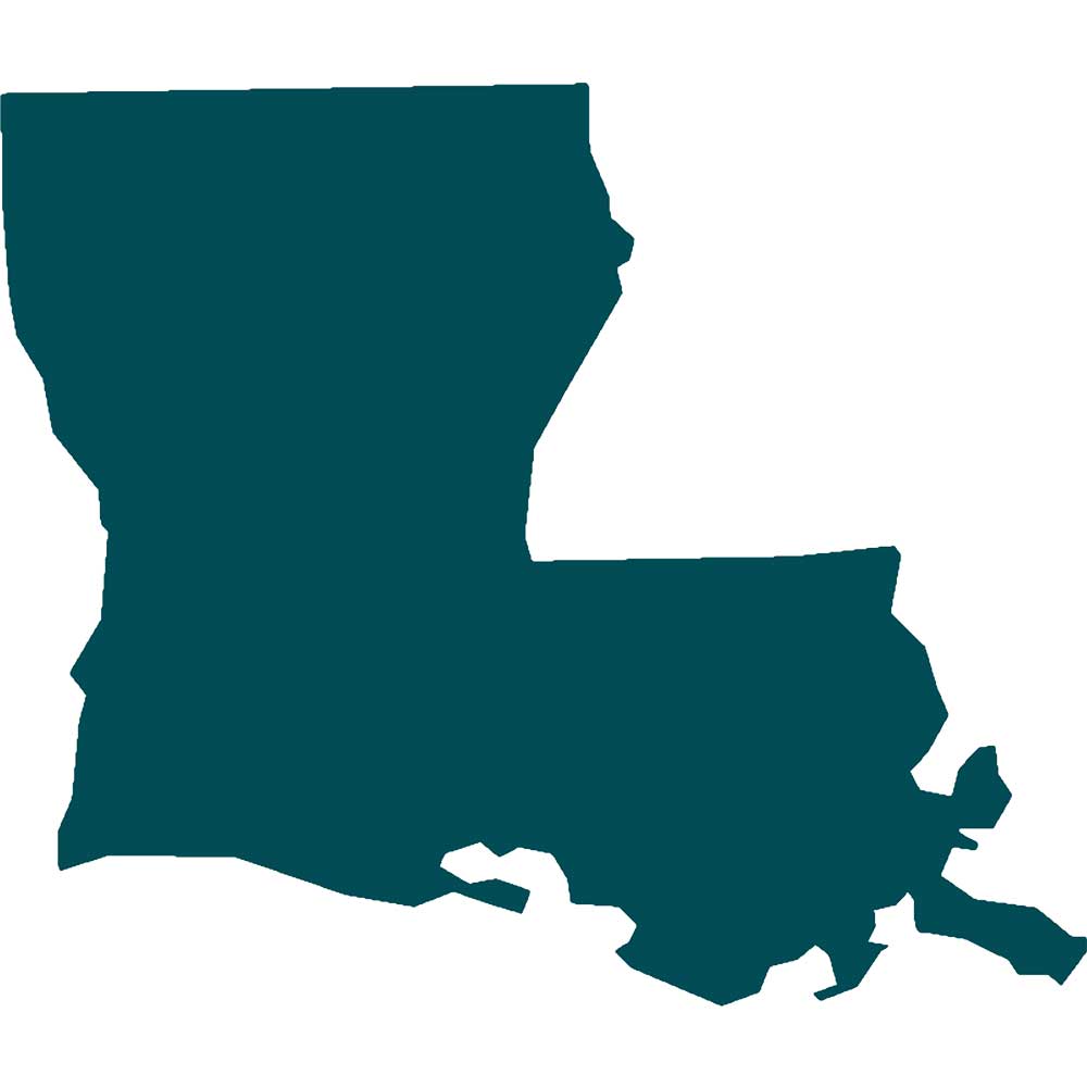 state of Louisiana graphic